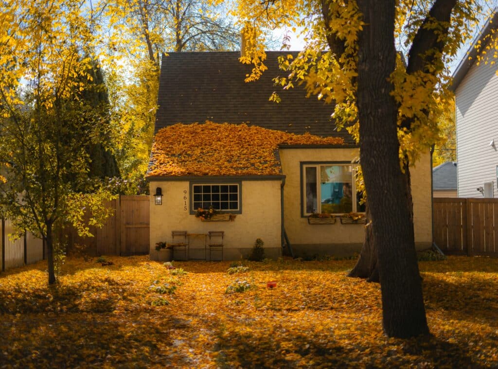 Fall house with siding